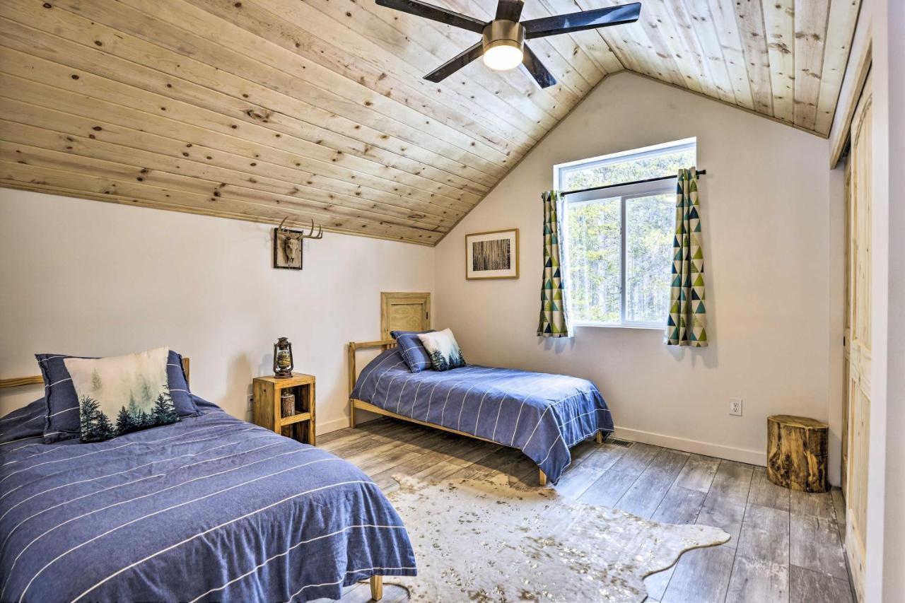 Modern Mtn Cabin Less Than 2 Mi To St Marys Glacier 爱达荷斯普林斯 外观 照片